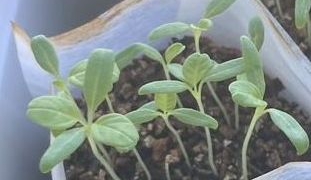 Thumbnail of post image 020