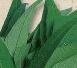 Thumbnail of post image 018