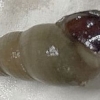 Thumbnail of related posts 161