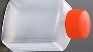 Thumbnail of post image 071