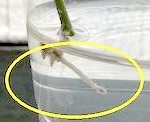 Thumbnail of post image 057