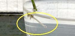 Thumbnail of post image 106