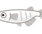 Thumbnail of post image 029
